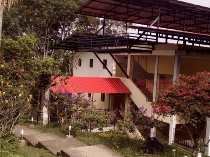 mushaisa.co mushaisa.co home 20191115 135845 4 edited mushaisa.co home 20191115 135845 4 edited